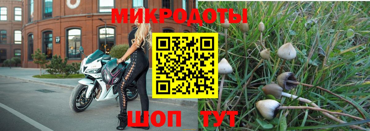 Псилоцибиновые грибы мухоморы  Вход с VPN  наркотики  Строитель  Псилоцибиновые грибы MAGIC MUSHROOMS 